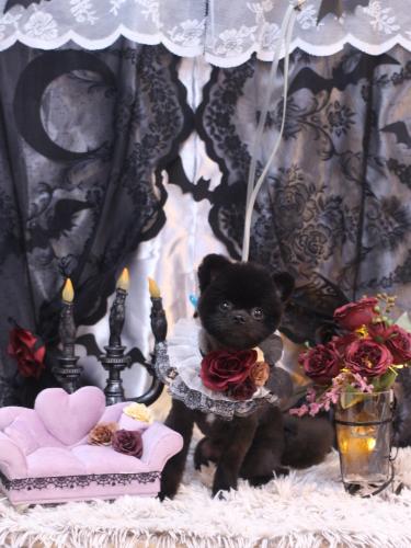 20231005ぽんずくん